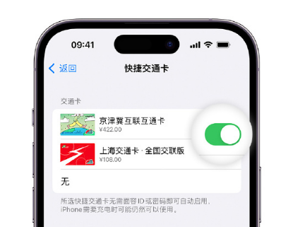 沙河apple维修点分享iPhone上更换Apple Pay快捷交通卡手绘卡面 