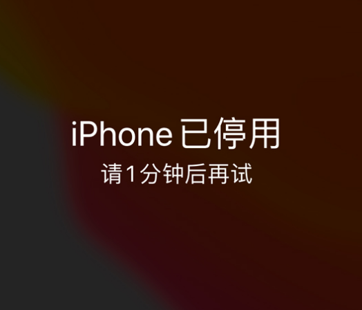 沙河苹果手机维修分享:iPhone 显示“不可用”或“已停用”怎么办？还能保留数据吗？ 