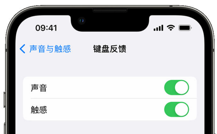 沙河苹果手机维修分享iPhone 14触感键盘使用方法 