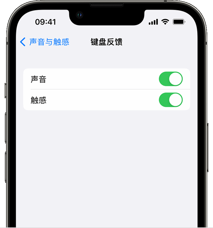 沙河苹果14维修店分享如何在 iPhone 14 机型中使用触感键盘 