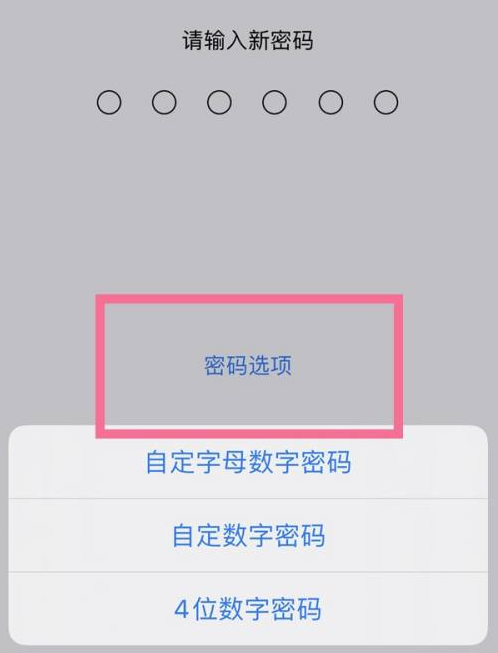 沙河苹果14维修分享iPhone 14plus设置密码的方法 