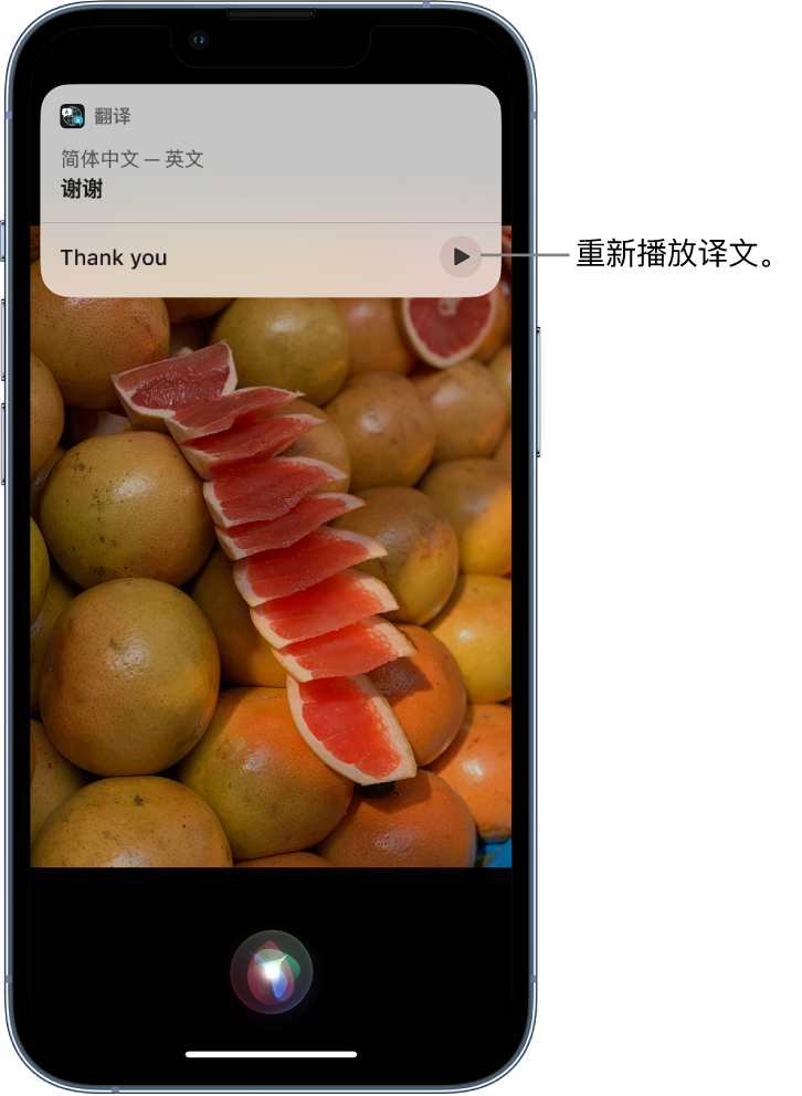 沙河苹果14维修分享 iPhone 14 机型中使用 Siri：了解 Siri 能帮你做什么 