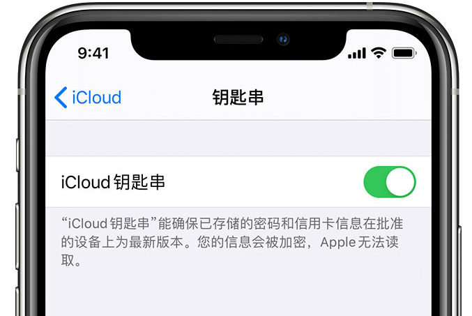 沙河苹果手机维修分享在 iPhone 上开启 iCloud 钥匙串之后会储存哪些信息 