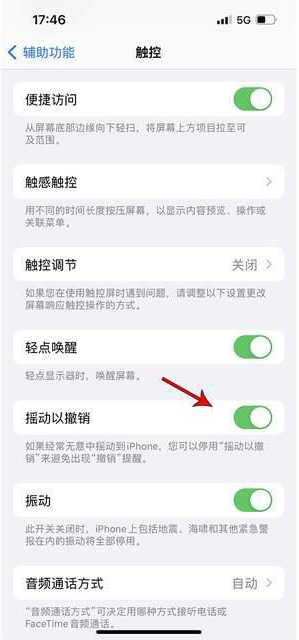 沙河苹果手机维修分享iPhone手机如何设置摇一摇删除文字 